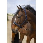 EquiTheme Kantar dla konia Strass - granatowy