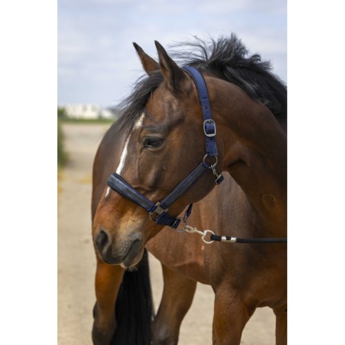 EquiTheme Kantar dla konia Strass - granatowy