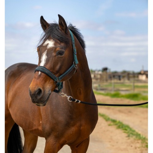 EquiTheme Kantar dla konia Strass - zielony