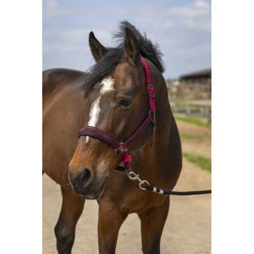 EquiTheme Kantar dla konia Strass - bordowy