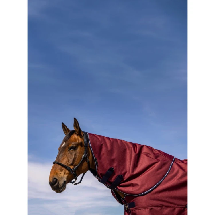 EquiTheme Kaptur do derki TYREX 1200D 0g - bordowy.jpg