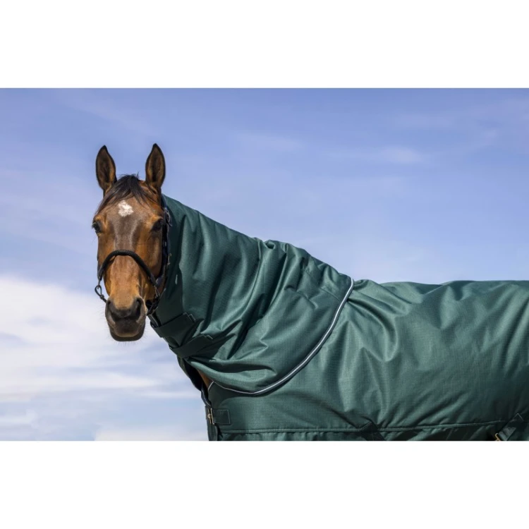 EquiTheme Kaptur do derki padokowej 0g TYREX 600D - zielony.jpg