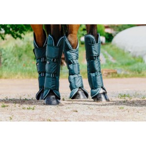 EquiTheme Ochraniacze transportowe TYREX 600D - zielone