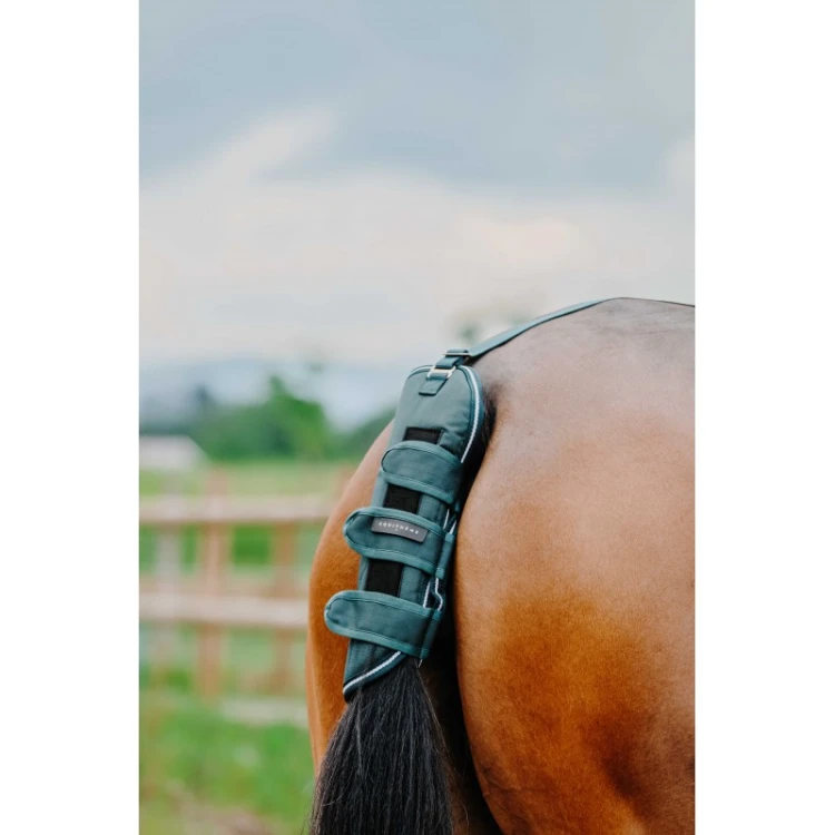 EquiTheme Ochraniacz na ogon dla konia TYREX 600D - zielony.jpg