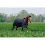 EquiTheme Derka przeciwdeszczowa padokowa 0g TYREX 600D - czarna