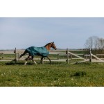 EquiTheme Derka przeciwdeszczowa padokowa 0g TYREX 600D - zielona