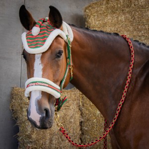 Zestaw świąteczny dla konia kantar z uwiązem i nausznikami Harry's Horse Christmas