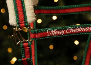 Zestaw świąteczny dla konia kantar z uwiązem i nausznikami Harry's Horse Christmas