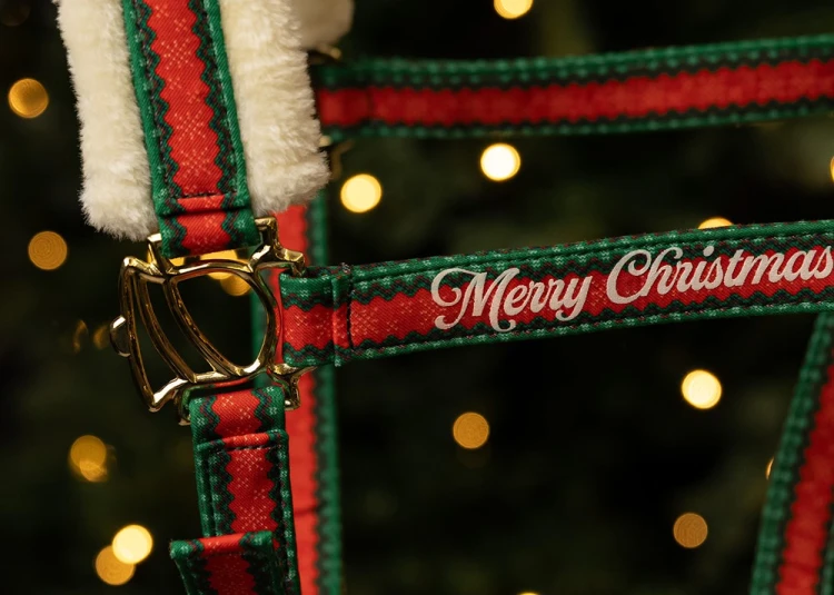 Zestaw świąteczny dla konia kantar z uwiązem i nausznikami Harry's Horse Christmas zdrowy koń (5).jpg