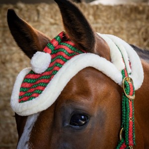 Zestaw świąteczny dla konia kantar z uwiązem i nausznikami Harry's Horse Christmas - rozm. COB - WYSYŁKA 48H
