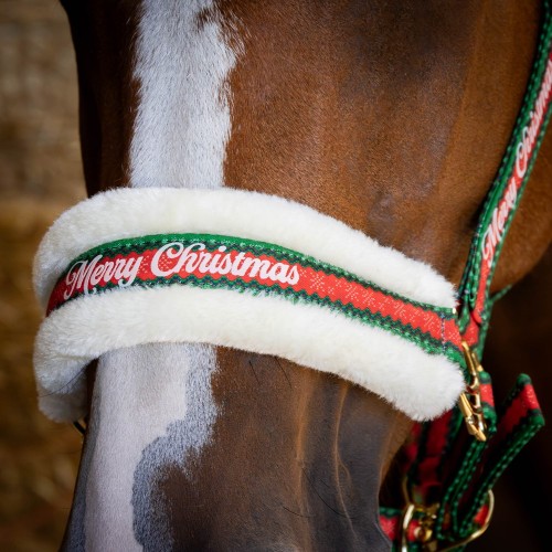 Zestaw świąteczny dla konia kantar z uwiązem i nausznikami Harry's Horse Christmas zdrowy koń (6).jpg