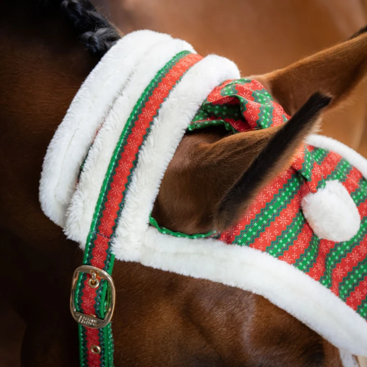 Zestaw świąteczny dla konia kantar z uwiązem i nausznikami Harry's Horse Christmas zdrowy koń (3).jpg