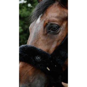 Kantar obszywany misiem Equitheme Je t'aime - czarny