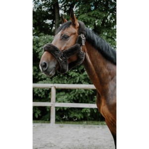 Kantar obszywany misiem Equitheme Je t'aime - brązowy