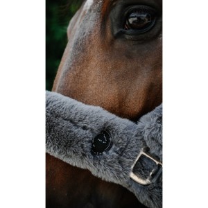 Kantar obszywany misiem Equitheme Je t'aime - szary