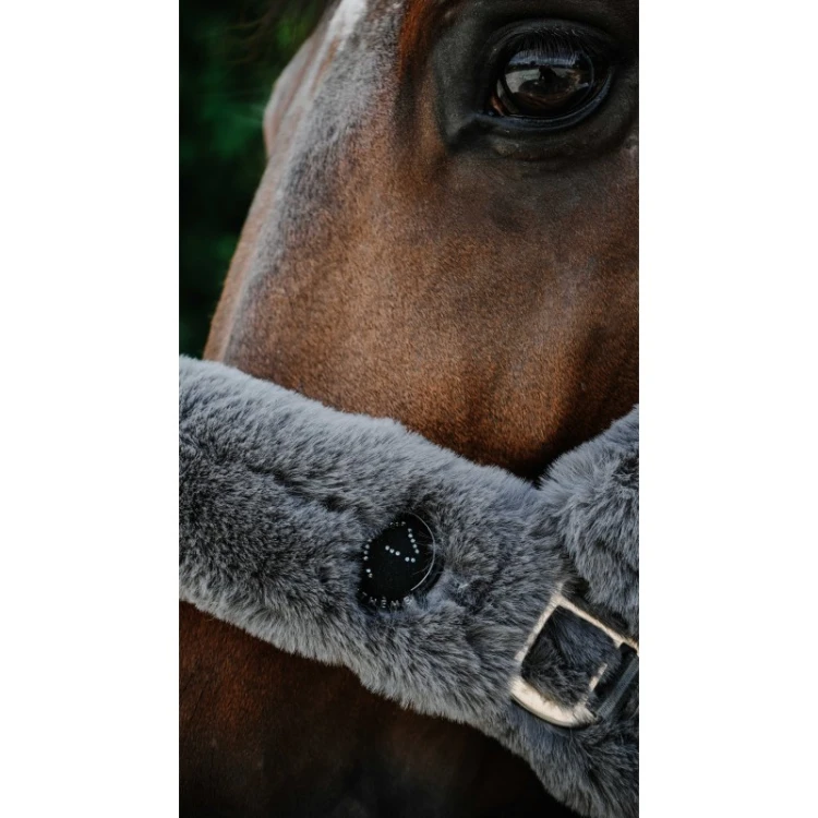 Kantar obszywany misiem Equitheme Je t'aime - szary.jpg