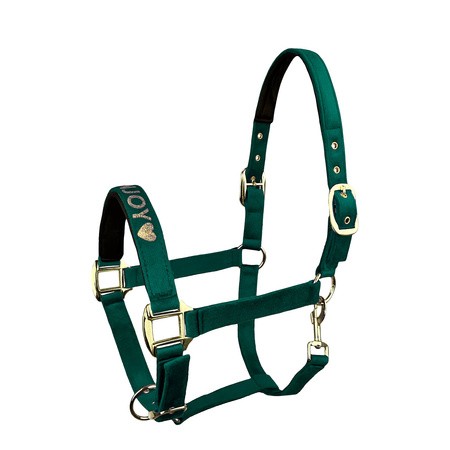 Kantar dla konia podszywany Horsenjoy Velvet  - zielony