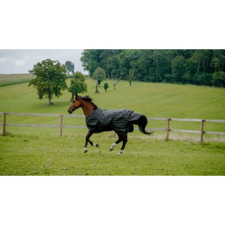 Derka padokowa przeciwdeszczowa Equitheme Lumin 50g 2.jpg