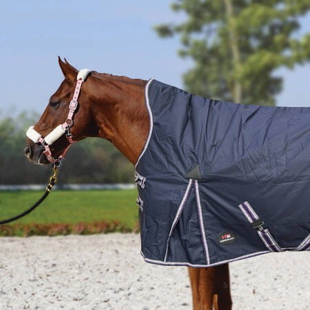 pol_pm_Derka-Horsenjoy-Aristo-High-Neck-250-g-135_2.jpg