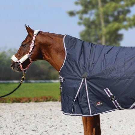 pol_pm_Derka-Horsenjoy-Aristo-High-Neck-250-g-135_2.jpg