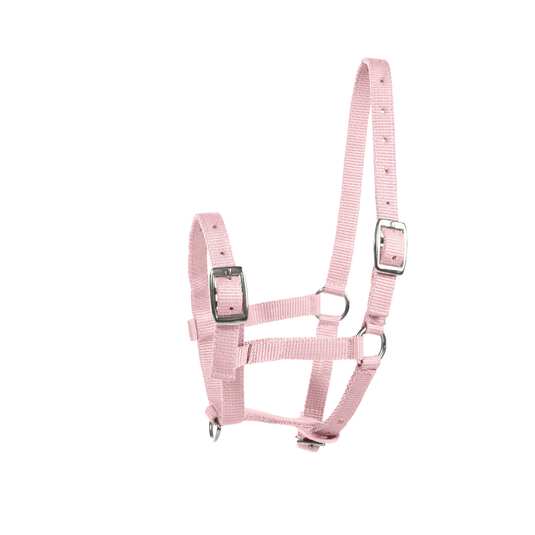 kantar źrebiecy pink.jpg