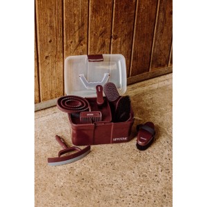 Skrzynka na szczotki jeździeckie HippoTonic Glitter