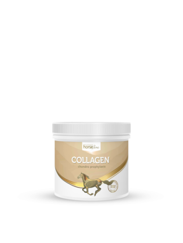 HorseLine PRO Collagen 300g kolagen dla koni - WYSYŁKA 48H
