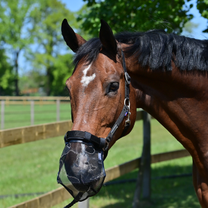 Maska na chrapy Busse - rozm. PONY/COB - WYSYŁKA 48 H 