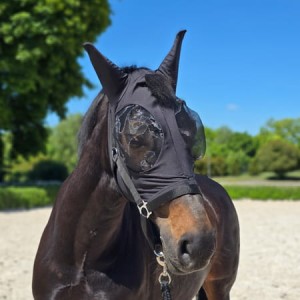 Maska przeciw owadom York Arletta - rozm. FULL - WYSYŁKA 48 H 