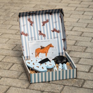 Zestaw szczotek do pielęgnacji koni QHP Stable Buddy - WYSYŁKA 48H