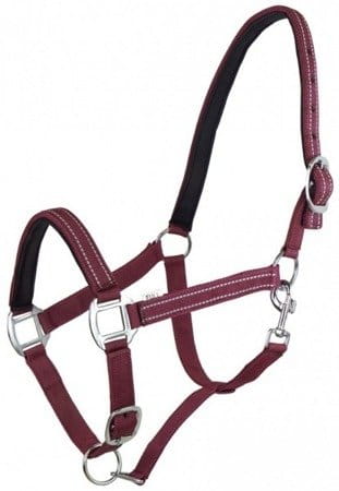 pol_pm_Kantar-York-Teo-536_2.jpg