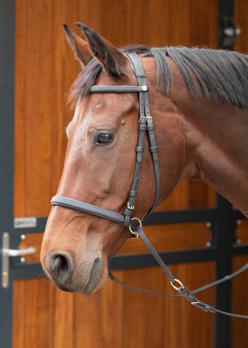 Ogłowie bezwędzidłowe Harry’s Horse Easy Care SKLEP ZDROWY KOŃ.jpg