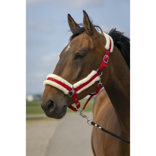 equitheme-nylon-mouton-headcollar (5).jpg