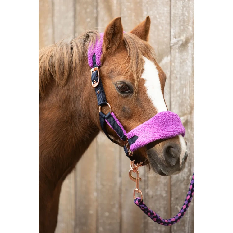 harry-s-horse-31006900-bright-violet-bright-violet-3.webp
