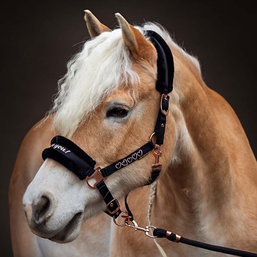 Kantar z uwiązem Harry’s Horse Love 2.jpg