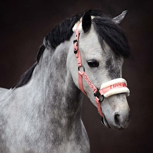 Kantar z uwiązem Harry’s Horse Love różowy 2.jpg