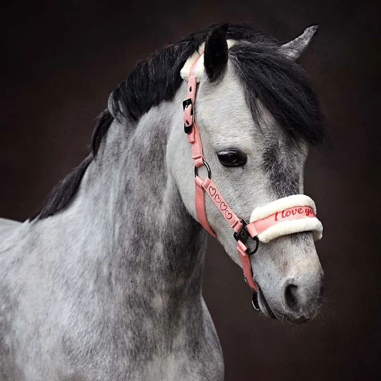 Kantar z uwiązem Harry’s Horse Love różowy 2.jpg