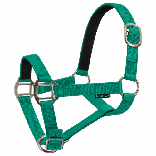 Zielony kantar dla konia NORTON.png