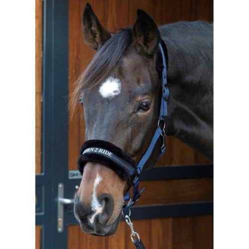 kantar-harrys-horse-born-2-ride-z-futerkiem.jpg 2.jpg
