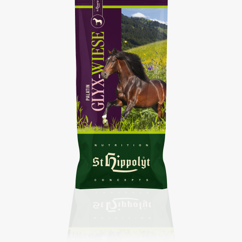 ST HIPPOLYT Palatin Glyx Wiese Heucobs 20kg sieczka z ziołami w formie peletu