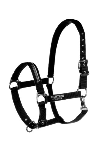 Kantar EQ.QUEEN "Paris"