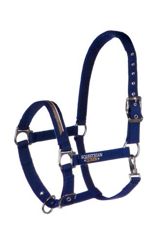 Kantar EQ.QUEEN "Paris"