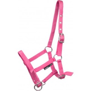 Kantar "Foal" źrebięcy