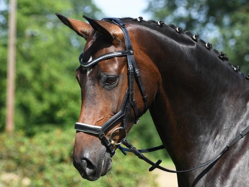 0064d5bbff23da73bd7fb65c632df28a.jpg