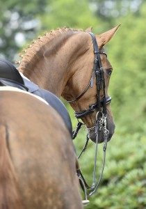 Ogłowie munsztukowe "Mailand"