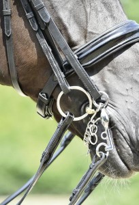 Ogłowie munsztukowe "Massa"