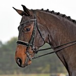 Ogłowie munsztukowe "Luxury"