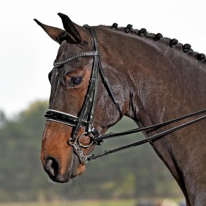 Ogłowie munsztukowe "Luxury"