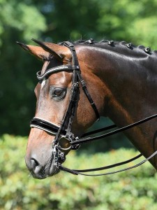 Ogłowie munsztukowe "Genua Kandare"