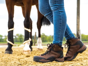 Buty jeździecko stajenne "Dallas"